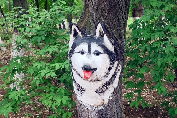 Animal Paintings Appear on Trees in Changchun